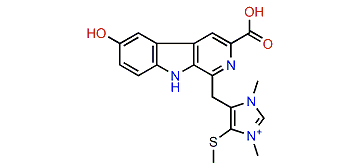 Dragmacidonamine B